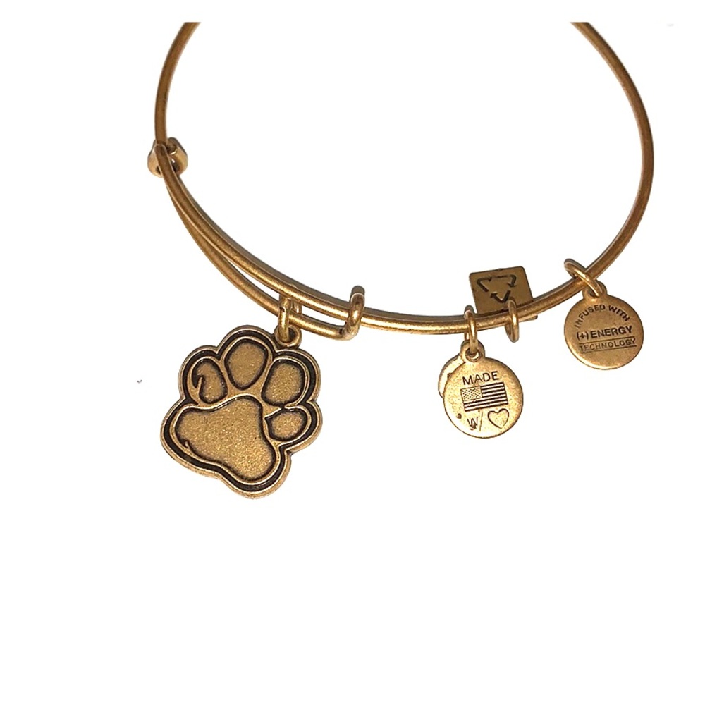 Alex and Ani bracelet